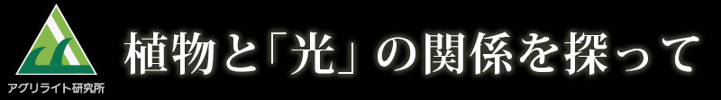 植物と「光」の関係を探って